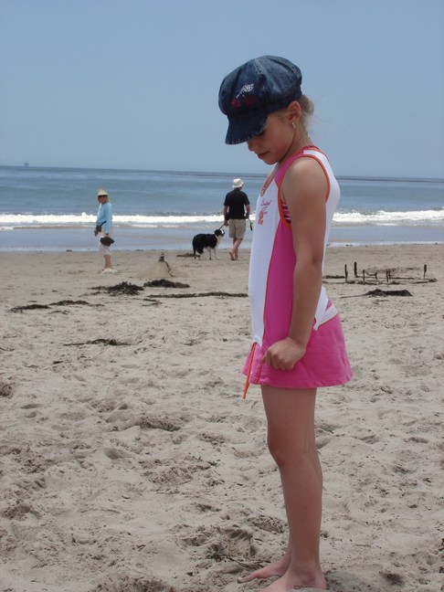 Carpinteria State Beach