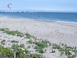 Leadbetter Beach Hike, Santa Barbara