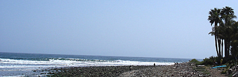 Rincon Beach, Santa Barbara