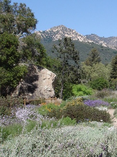 Santa Barbara Botanic Gardens