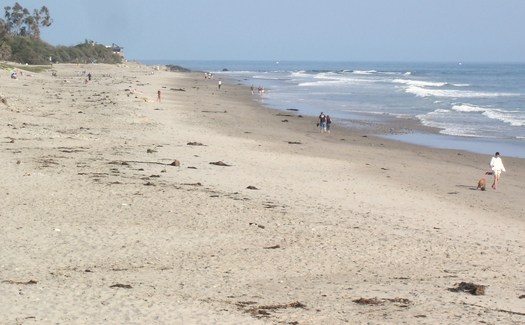 Carpinteria State Beach