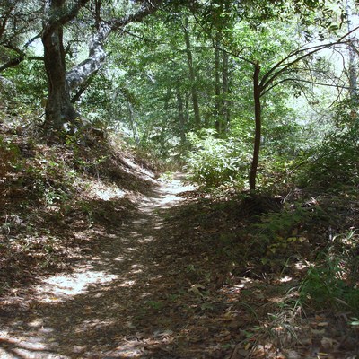 Cold Springs Trail, Santa Barbara