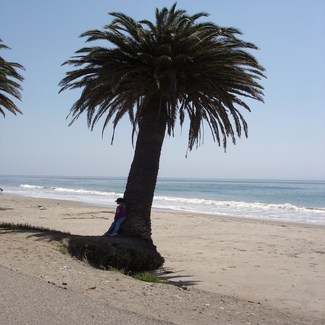 Refugio State Beach, Santa Barbara